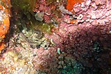 DSC02417.jpg